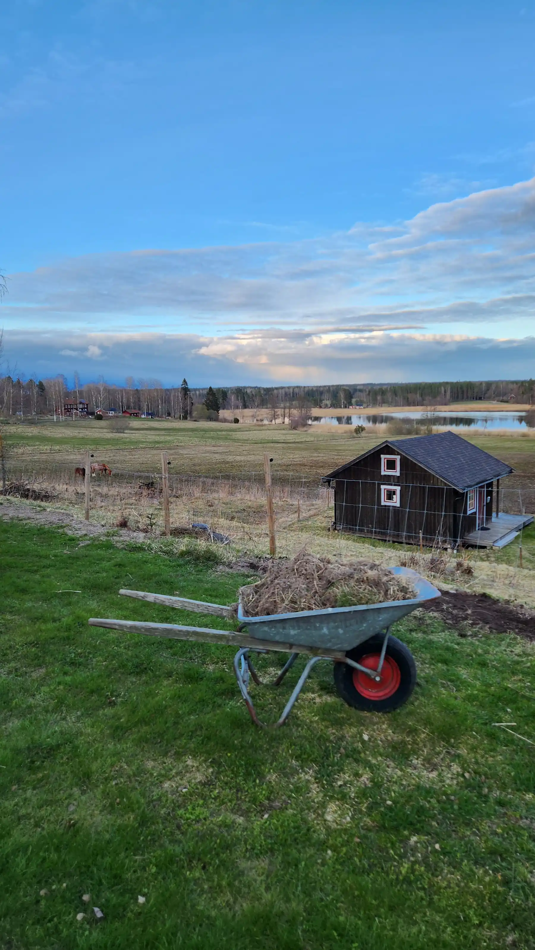 Miljön på Ulvsby Ranch
